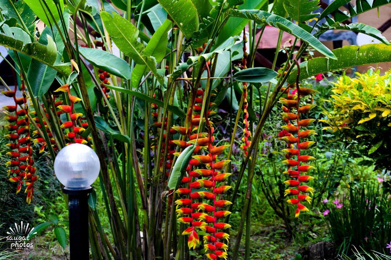 Bardia Wildlife Resort Bardiya Exterior foto