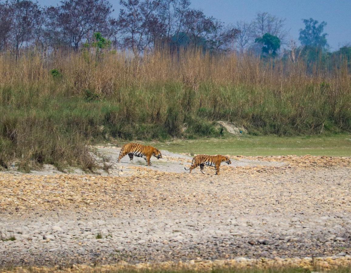 Bardia Wildlife Resort Bardiya Exterior foto