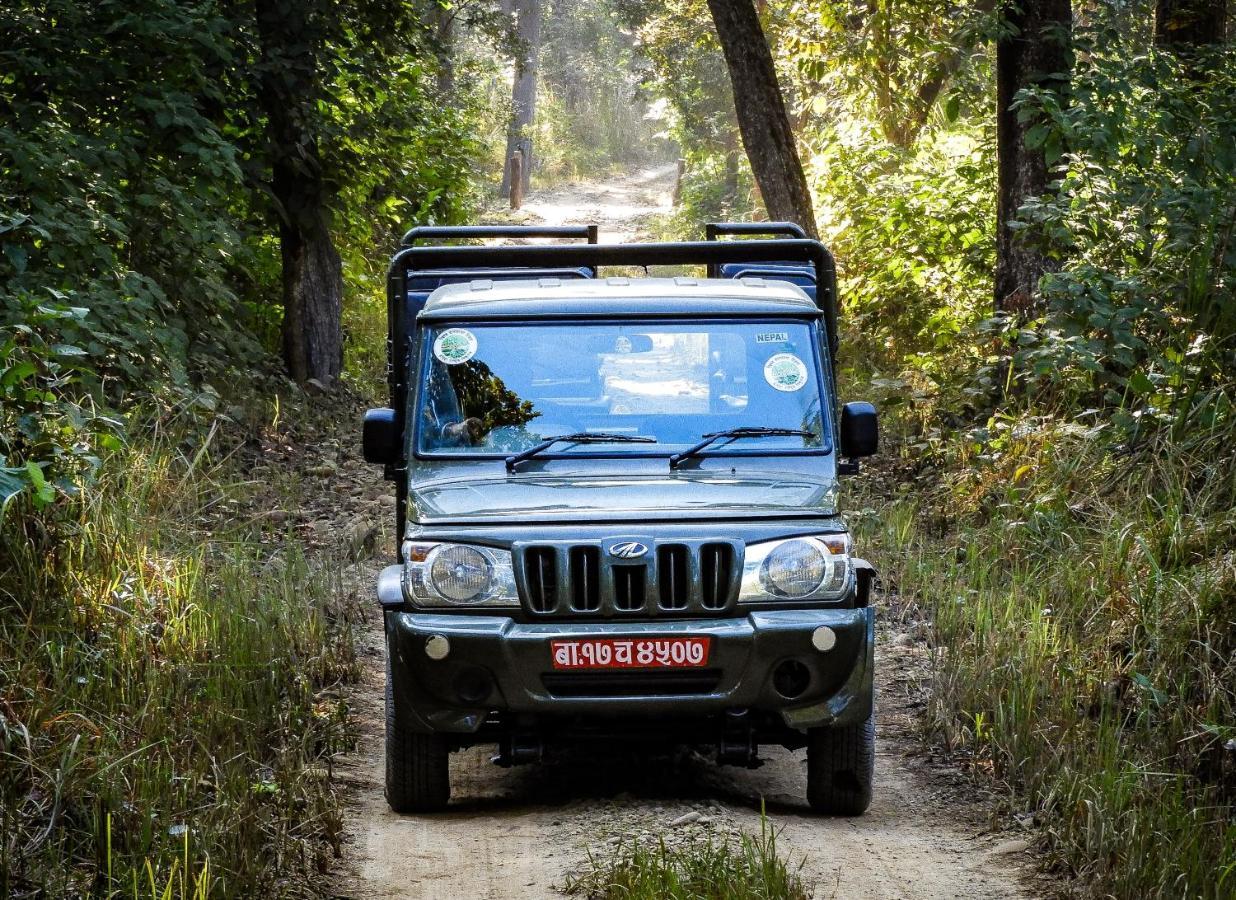 Bardia Wildlife Resort Bardiya Exterior foto