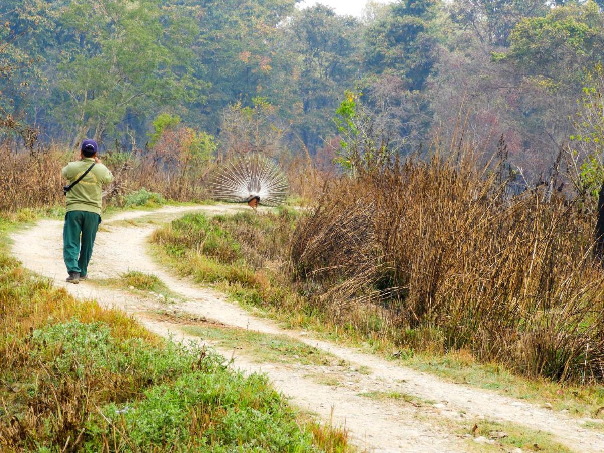 Bardia Wildlife Resort Bardiya Exterior foto