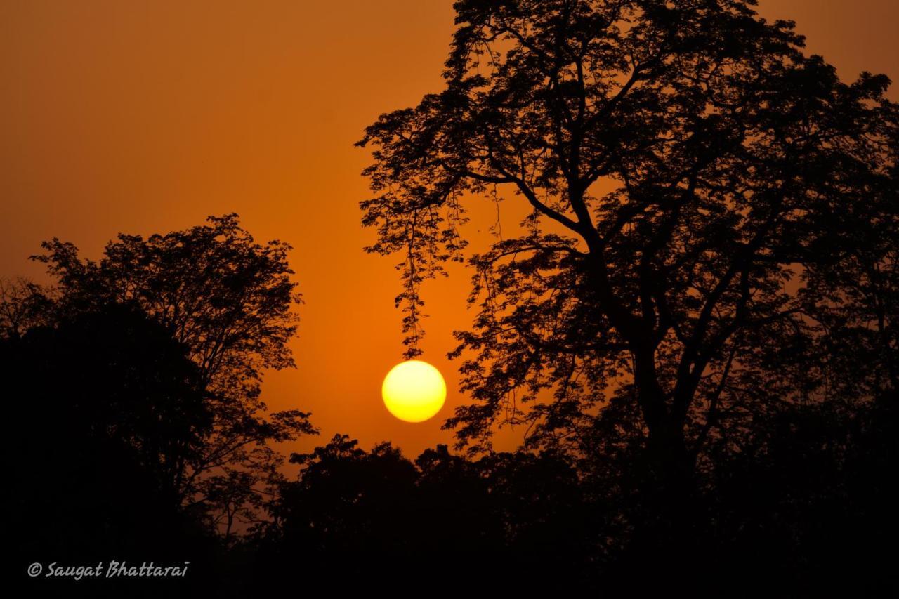 Bardia Wildlife Resort Bardiya Exterior foto