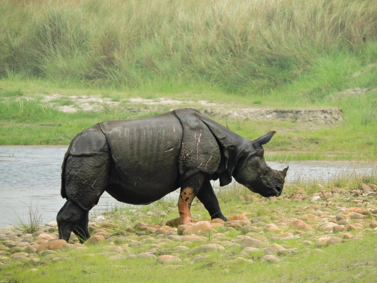 Bardia Wildlife Resort Bardiya Exterior foto